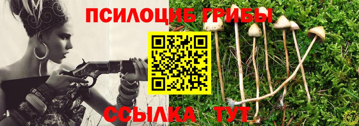 Псилоцибиновые грибы GOLDEN TEACHER Менделеевск