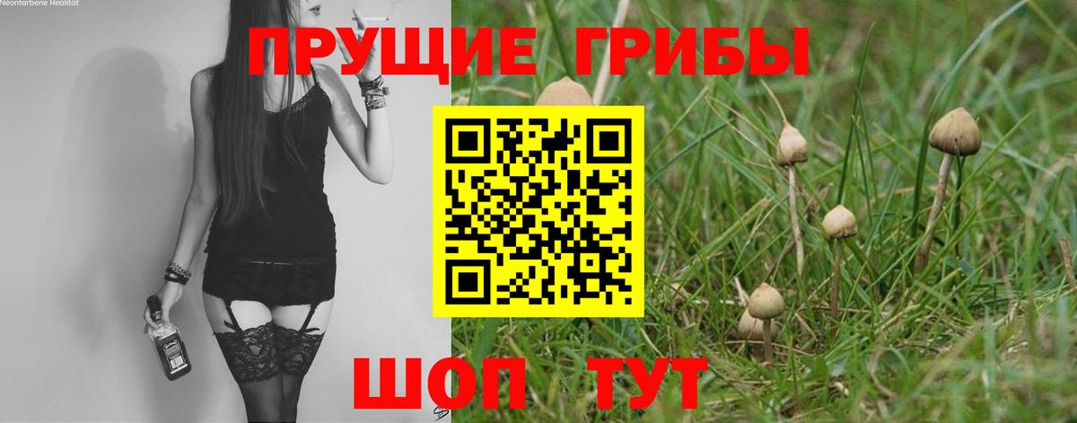 Галлюциногенные грибы MAGIC MUSHROOMS  Галлюциногенные грибы Psilocybine cubensis  Вход с VPN  Менделеевск 